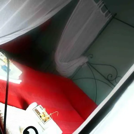 르 파테